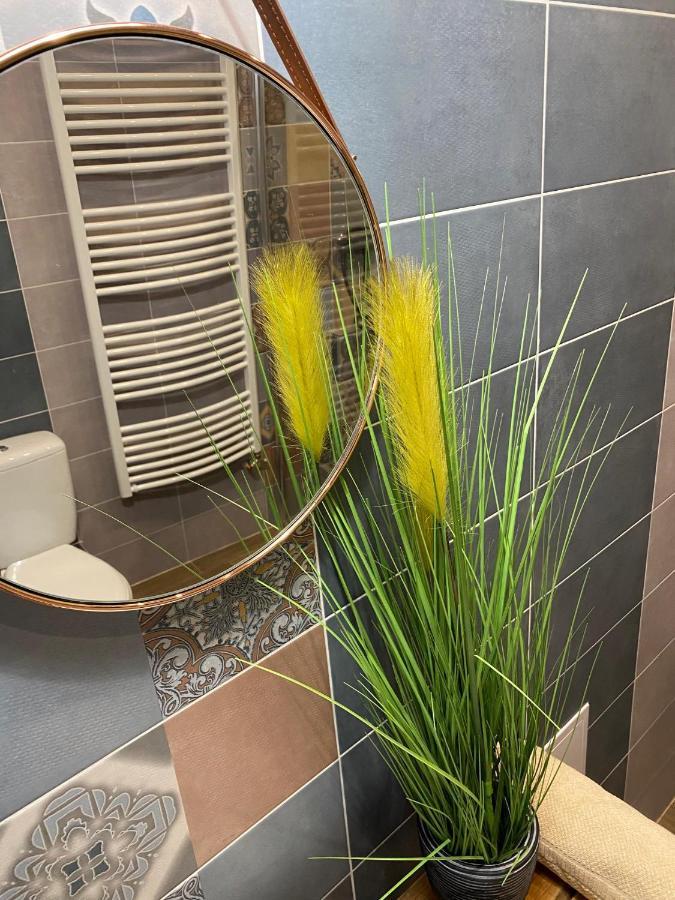 Pedal Apartman Szeged City Экстерьер фото